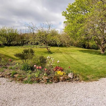 Llys Onnen - North Wales Holiday Cottage Mold Bagian luar foto