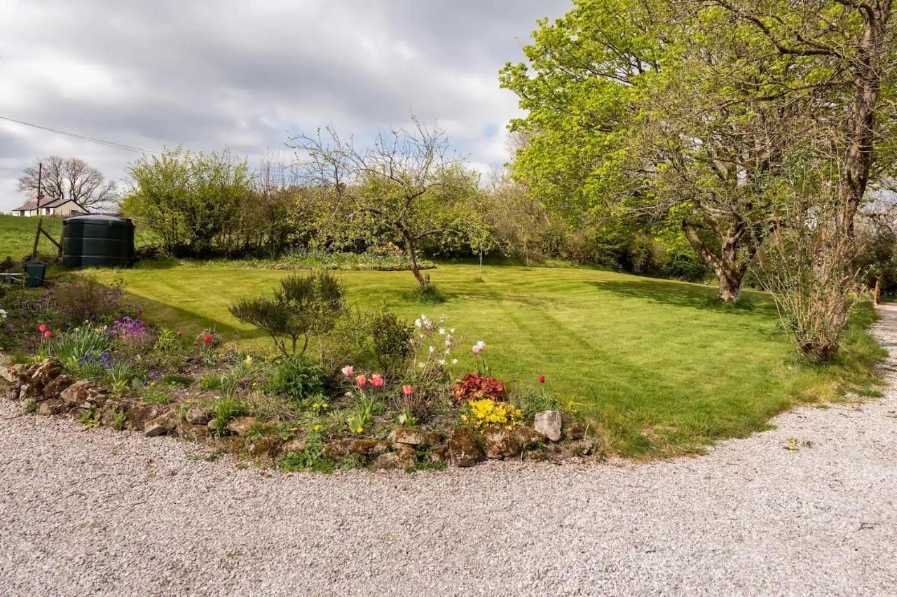 Llys Onnen - North Wales Holiday Cottage Mold Bagian luar foto