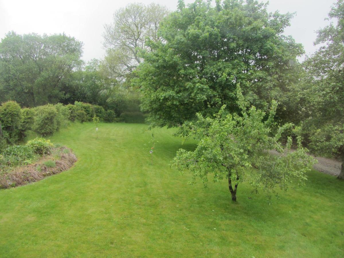 Llys Onnen - North Wales Holiday Cottage Mold Bagian luar foto