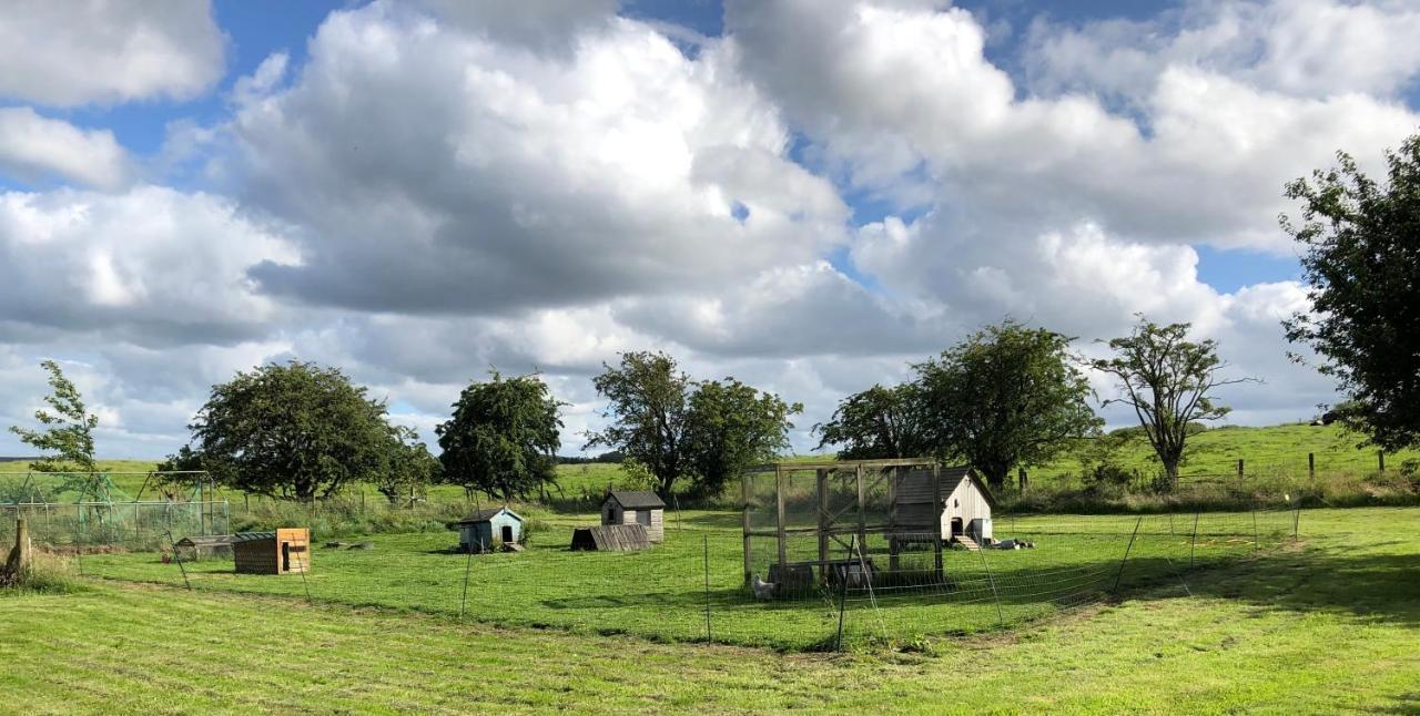 Llys Onnen - North Wales Holiday Cottage Mold Bagian luar foto