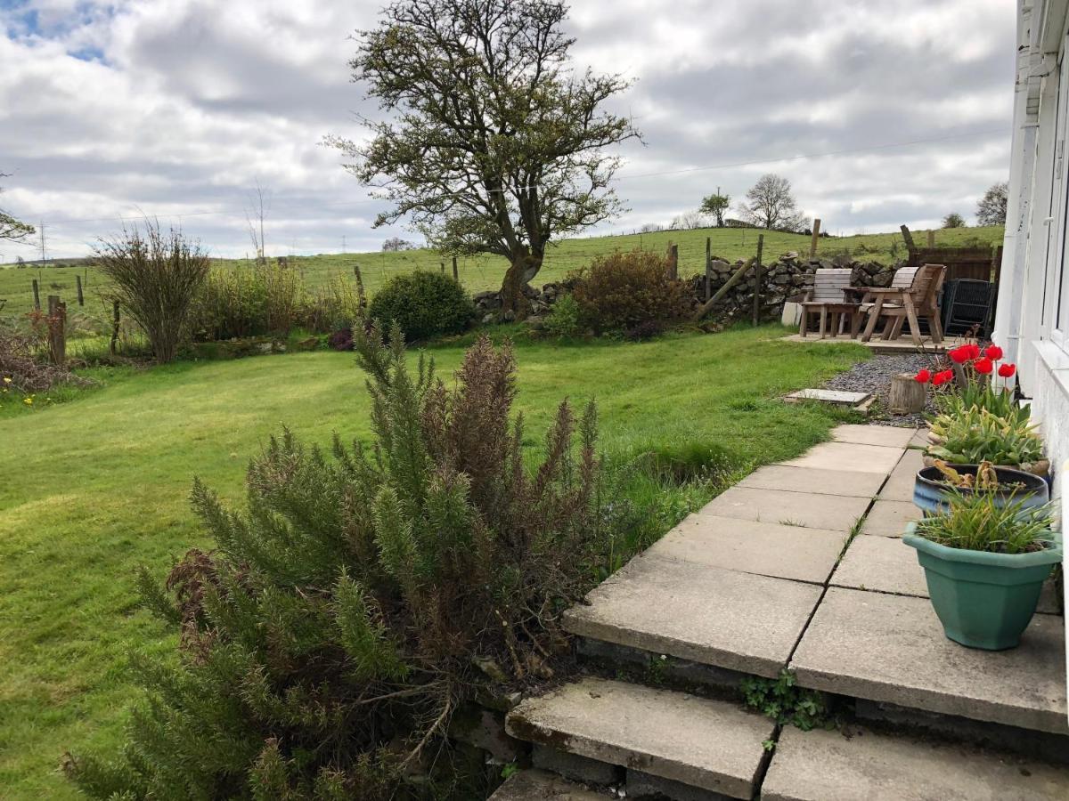 Llys Onnen - North Wales Holiday Cottage Mold Bagian luar foto